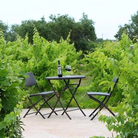 Il Vigneto Sole&luna Con Piscina Privata *