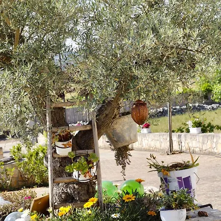 Il Vigneto Sole&luna Con Piscina Privata