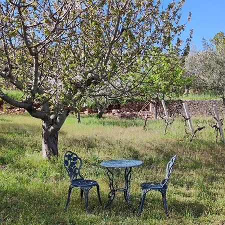 Il Vigneto Sole&luna Con Piscina Privata 펜션