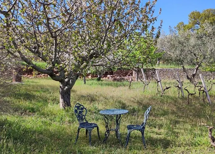 Il Vigneto Sole&luna Con Piscina Privata Vakantiehuis